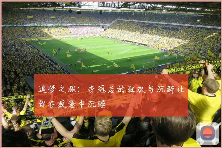 追梦之旅：夺冠后的狂欢与沉醉让你在疲惫中沉睡